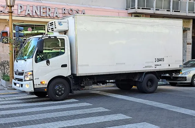 Hino 300 Series